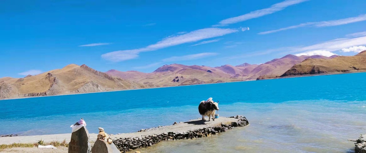 图由作者提供·西藏